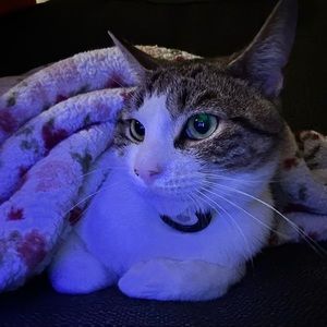 Meet your Posher, Chloe